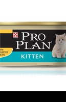 Proplan Cat Wet   Kitten With Chicken 85 Gram 85 Gram
