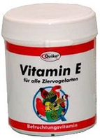 Quikon E Vitamine 70gr
