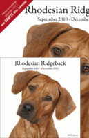 Rhodesian Ridgeback 2012