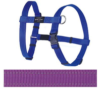 Rogz For Dogs Fanbelt Tuig Voor Hond Paars 20 Mmx45 75 Cm