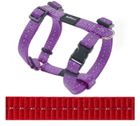 Rogz For Dogs Nitelife Tuig Voor Hond Rood 11 Mmx20 36 Cm