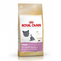Royal Canin Kitten British Shorthair Kattenvoer 10 Kg