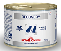 Royal Canin Veterinary Recovery Natvoer Hond En Kat 3 Trays (36 X 195 G)