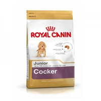 Royal Canin Puppy Cocker Spaniel Hondenvoer 3 X 3 Kg