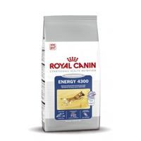 Royal Canin Sporting Energy 4300 Hondenvoer 2 X 15 Kg