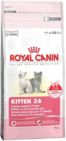 Royal Canin Kitten Kattenvoer 2 X 10 Kg