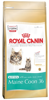 Royal Canin Kitten Maine Coon Kattenvoer 2 X 10 Kg