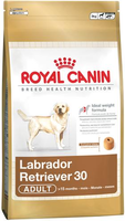Royal Canin Labrador Retriever Adult   Hondenvoer   3 Kg