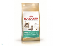 Royal Canin Kitten Maine Coon Kattenvoer 2 Kg