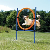 Trixie Dog Activity Agility Ring   Hondensport   65x115 Cm Blauw Oranje