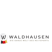 Waldhausen Bit Watertrens Dubbel Gebroken   Rijbenodigdheden   13.5 Cm Massief