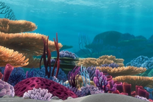 Disney Nemo Achterwand 60x40 Cm
