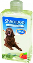 Duvo+ Laroy Duvo   Ontwarrend Shampoo