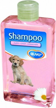 Duvo+ Laroy Duvo   Puppy Shampoo