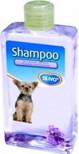 Duvo+ Laroy Duvo   Relaxerend Shampoo