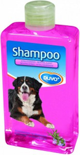 Duvo+ Laroy Duvo   Vitaliserend Shampoo