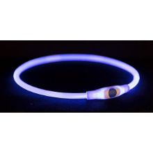 Flash Lichthalsband 65 Cm Blauw Voor De Hond Per Stuk