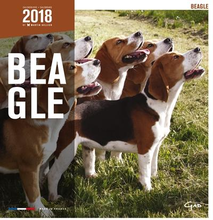 Martin Sellier Kalender Beagle 2018 #95;_
