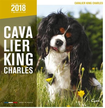 Martin Sellier Kalender Cavalier King Charles 2018 #95;_