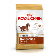 Royal Canin Dachshund Junior 1,5 Kg