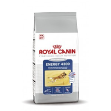 Royal Canin Energy 4300 Hondenvoer 15 Kg